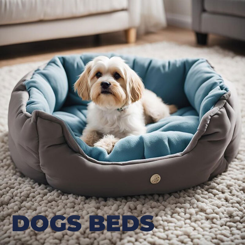 Dog Beds