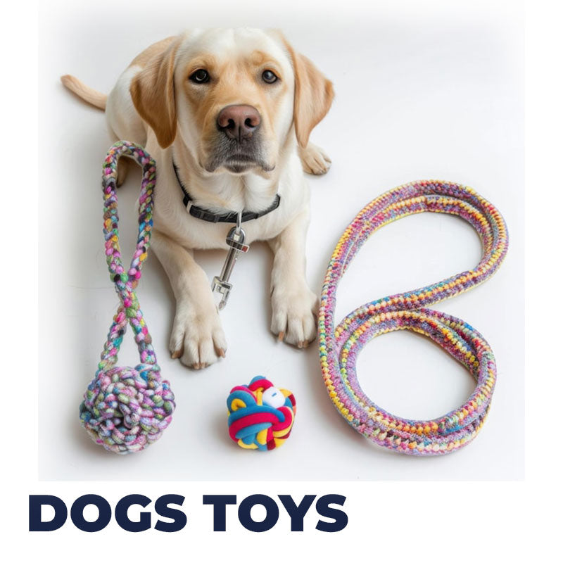 Pet Toys