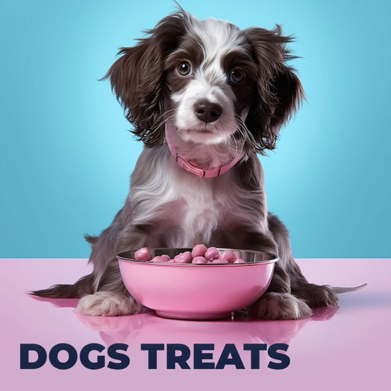 Dog Treats