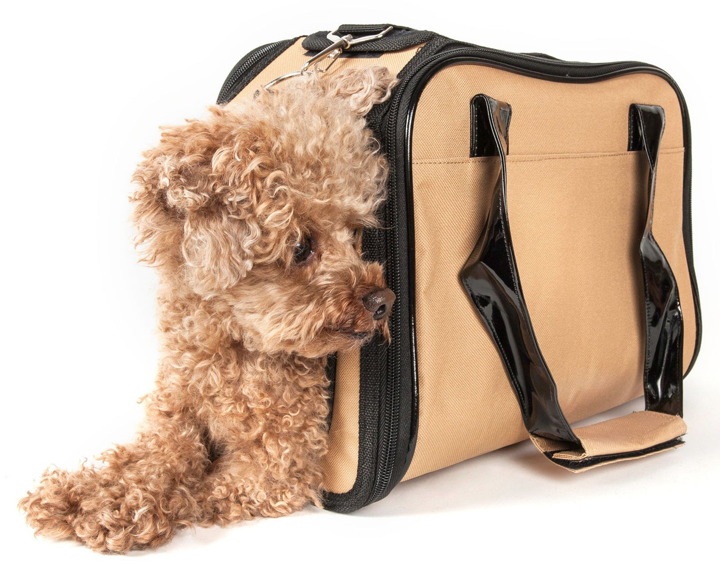 Airline Approved Mystique Fashion Pet Carrier