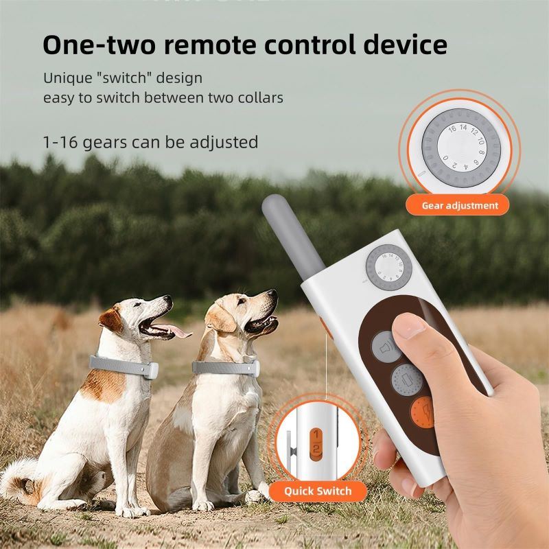 Rechargeable Training Collar w/Remote Control for Dog