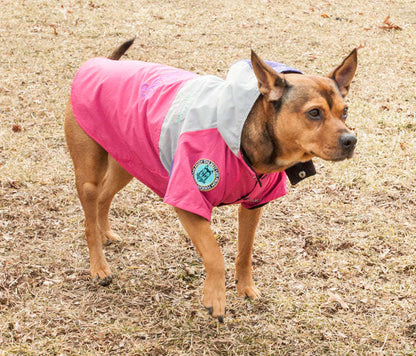 Touchdog Mount Pinnacle Pet Ski Jacket