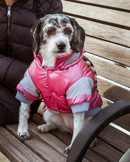 Sporty Vintage Aspen Pet Ski Jacket