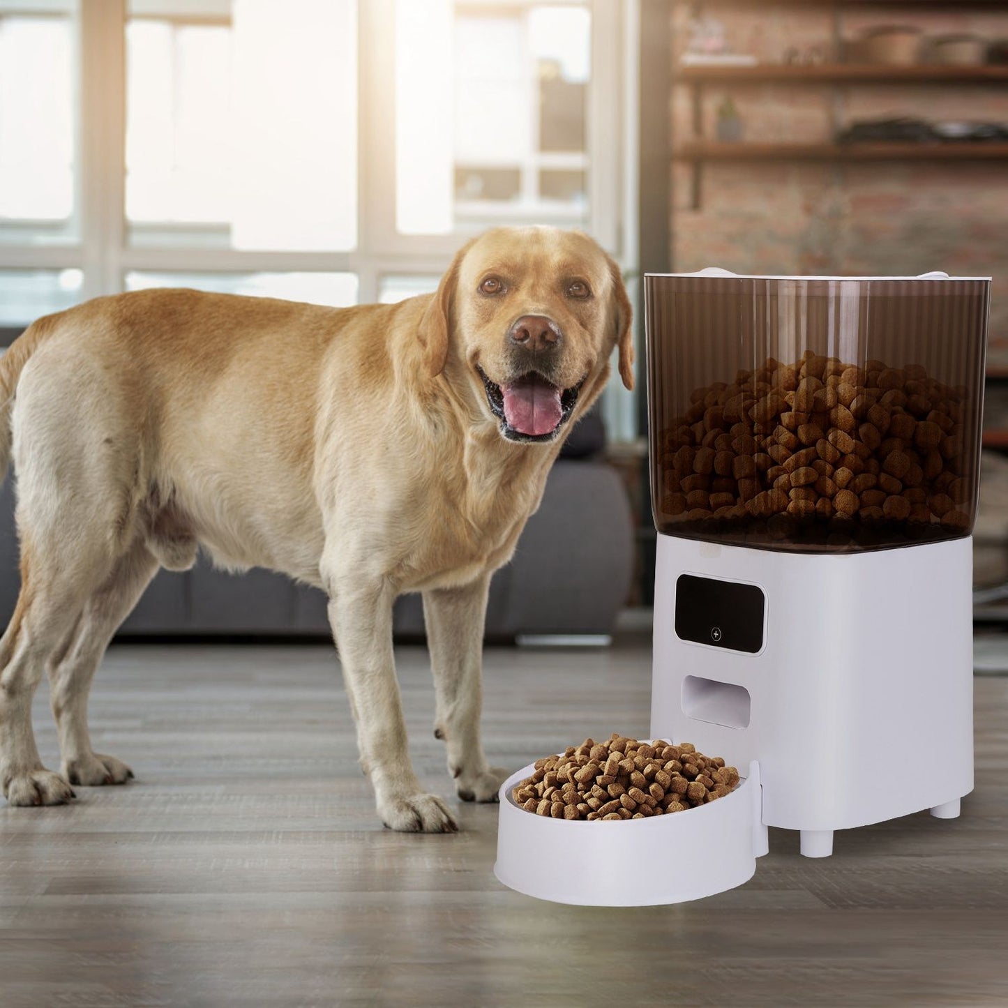 5L Automatic Pet Feeder For Cats & Dogs