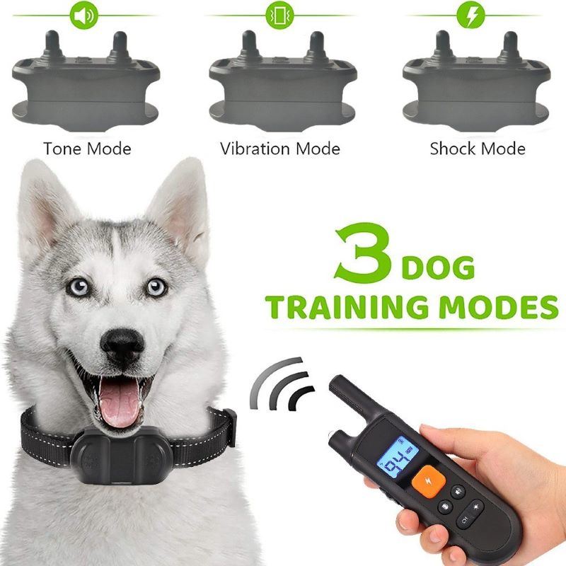 Rechargeable Training Collar w/Remote Control for Dog